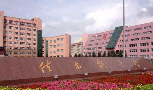 佳木斯大学爆料事件视频,视频揭露惊人真相