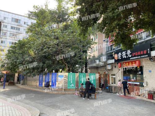 桂庙新村爆料事件始末视频,真相与争议的交织