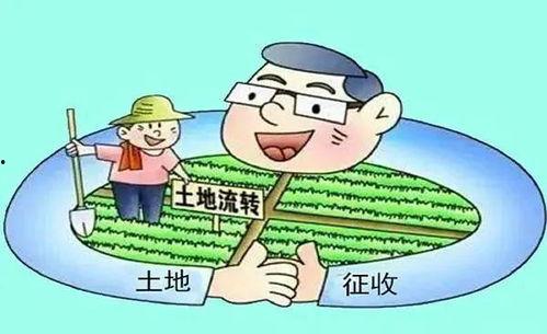 农村纠纷爆料案例最新,邻里矛盾升级,法律调解助力和谐 第2张 农村纠纷爆料案例最新,邻里矛盾升级,法律调解助力和谐 第2张