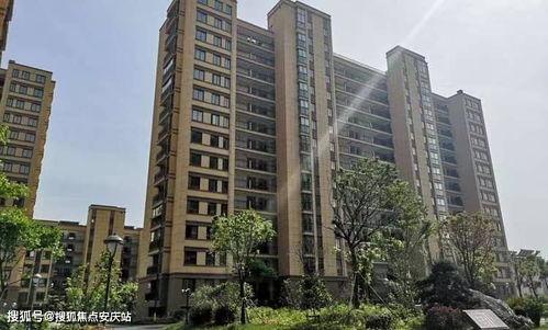 东郊惠泽园最新施工爆料,全新面貌即将呈现 第2张 东郊惠泽园最新施工爆料,全新面貌即将呈现 第2张